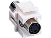 Cables Unlimited Cables To Go Cables To Go S-VIDEO WALL PLT INSERT SNAP-IN WHT (CABLES TO GO: 03823)
