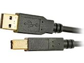 TRIPP LITE 6 ft. USB 2.0 Cable (Tripp Lite: U022-006)