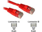 Cables To Go 3ft CAT5e Molded Red . (Cables to Go: 15223)