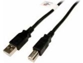 CABLES UNLIMITED 6 ft. USB 2.0 Black A to B Cable (Cables Unlimited: USB-5020-02M)