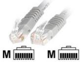 StarTech.com 50 Ft Gray Cat 6 Molded Patch Cable (StarTech.com: C6PATCH50GR)