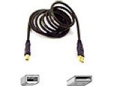 Belkin Gold Series Hi-Speed USB 2.0 Cable 6 ft (Belkin Components: F3U133TT06-GLD)