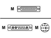 Avocent Sun Keyboard, Sun Mouse & 13W3 Video - 30 feet (Avocent: CWSN-30)