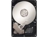 SEAGATE  BARR ES 250GB SATA 3GB/S 3.5 7200.2 32MB CACHE (Seagate: ST3250310NS)