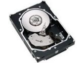 Seagate Cheetah 15K.5 Fibre Channel 146-GB Hard Drive (Seagate: ST3146855FC)