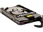 HP HEWLETT PACKARD 73GB INT NO S/W 10K 80U4 HDD (Hewlett-Packard: A7528A)