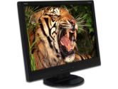NEC NEC 22IN VIEWABLE IMAGE SIZE LCD (NEC Display Solutions: LCD22WV-BK)