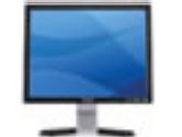 Dell E157FP,15 Inch Flat Panel Monitor 15.0 Inch Viewable Image Size (DELL: FJ066)