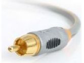 StarTech.com Cable ZEN Digital Coaxial Audio Cable, 6.6ft (StarTech.com: ZENDIGCOAX2)