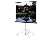 Da-Lite Presenter 40-in. - Wide Power (Da-Lite Screen: 84187)