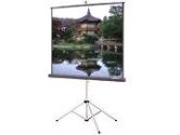 DA-LITE DA-LITE 96IN X 96IN GLASS BEADED (Da-Lite Screen: 40150)