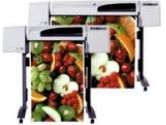 HP DesignJet 500 Plotter (HEWLETT-PACKARD: C7770B#ABA)