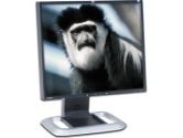 HP RA373A8#ABA LP1965 19" LCD Monitor - 6ms, 1000:1, SXGA 1280x1024, Dual DVI, Carbon (Hewlett-Packard: RA373A8#ABA)