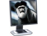 HP RA373A8#ABA  LP1965 19" LCD Monitor - 6ms, 1000:1, SXGA 1280x1024, Dual DVI, Carbon (Hewlett-Packard: RA373A8#ABA)