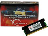 G.SKILL 2GB 200-Pin DDR2 SO-DIMM DDR2 667 (PC2 5300) Laptop Memory (G.Skill: F2-5300CL5S-2GBSK)