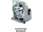 Optoma BL-FP330A Replacement Lamp - TX782 Projector (Optoma Technology: BL-FP330A)