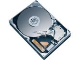 TOSHIBA MK2552GSX(HDD2H02) 250GB 5400 RPM SATA 1.5Gb/s Notebook Hard Drive - OEM (Toshiba: MK2552GSX)