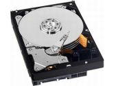 Western Digital RE4-GP 2TB 3.5" SATA 3.0Gb/s Hard Drive -Bare Drive
