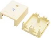 StarTech Dual Cat 5e RJ45 Wall Box (STARTECH: WALLBOX2KIV)
