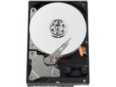 Western Digital AV-GP 750GB 3.5" SATA 3.0Gb/s Internal AV Hard Drive -Bare Drive (Western Digital: WD7500AVDS)