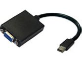 Accell Accessory B101B-002B 10inch UltraAV mini Display Port/VGA Adapter Retail (Accell: B101B-002B)