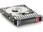 HP 2.5" Internal Notebook Hard Drive - (Hewlett-Packard: 652589-S21)