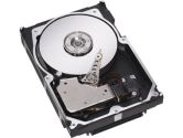 IBM 49Y1851 500 GB 2.5' Internal Hard Drive (IBM: 49Y1851)