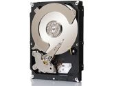 Seagate Constellation CS 2TB 7200RPM SATA 6GB/S 64MB Cache 3.5in Internal Hard Drive (Seagate: ST2000NC001)