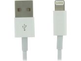 iPhone 5  iPad Mini Power & Data Cable 3 Meter (nGear Technologies Inc.: ip5 pad mini)