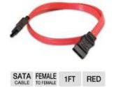 Cables To Go 1-Device Serial ATA Cable (C2G: 10192)