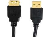 Cable Usb Am -Af 6' (Dollar Days: 922397)