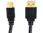 Cable Usb Male A-B 10' (Dollar Days: 922396)