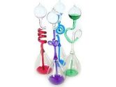 Westminster Hand Boilers (Colors May Vary) (Westminster: 035594023531)