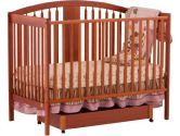 Stork Craft 04550-65C Hollie Fixed Side Convertible Crib (Cognac) (Stork Craft: 056927080595)