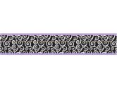 Purple and Black Kaylee Children and Kids Modern Wall Border by Sweet Jojo Designs (Sweet Jojo Designs: 846480013570)