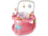 Bright Starts 7038 Entertain and Grow Saucer, Pink (Bright Starts: 074451070387)