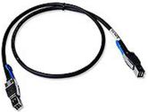 LSI SFF8644 to SFF8644 1M External Cable (LSI: LSI00339)