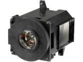 NEC Replacement Lamp for the NP-PA500X/PA500U/PA5520W/PA600X (NEC Display Solutions: NP21LP)