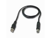 Belkin 16ft USB AB Device USBA/USBB (Belkin Components: F3U133-16)