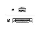 Digi International Cable Leg 48IN CONVRT RJ45 to DB25M DCE (Digi International: 76000238)