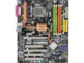 MSI P6N SLI Platinum Motherboard (Micro Star International Computer: P6N SLI PLATINUM)