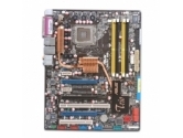 ASUS P5NT WS ATX Server Motherboard (ASUSTeK COMPUTER: P5NT WS)